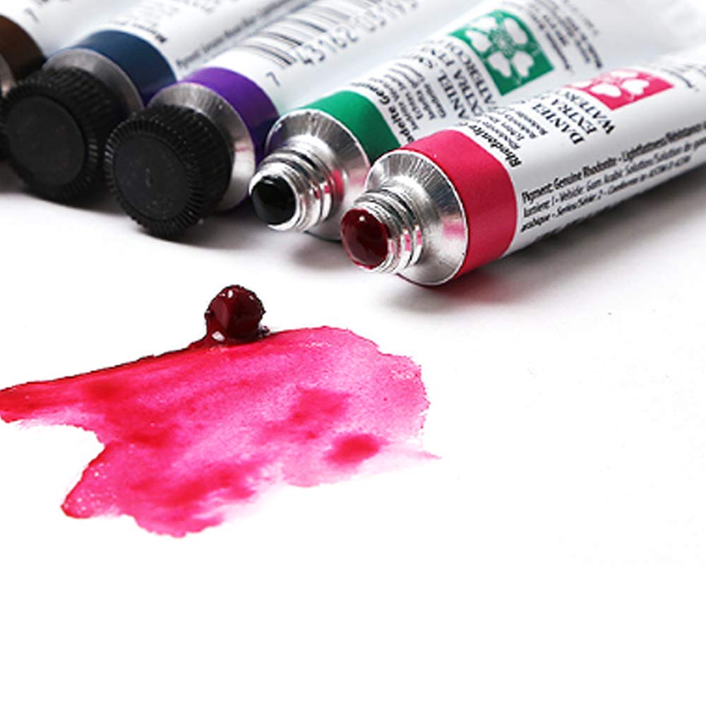 Daniel Smith 285610016 Alvaro Castagnet Master Artist Watercolor Set (10 Pack), 5ml
