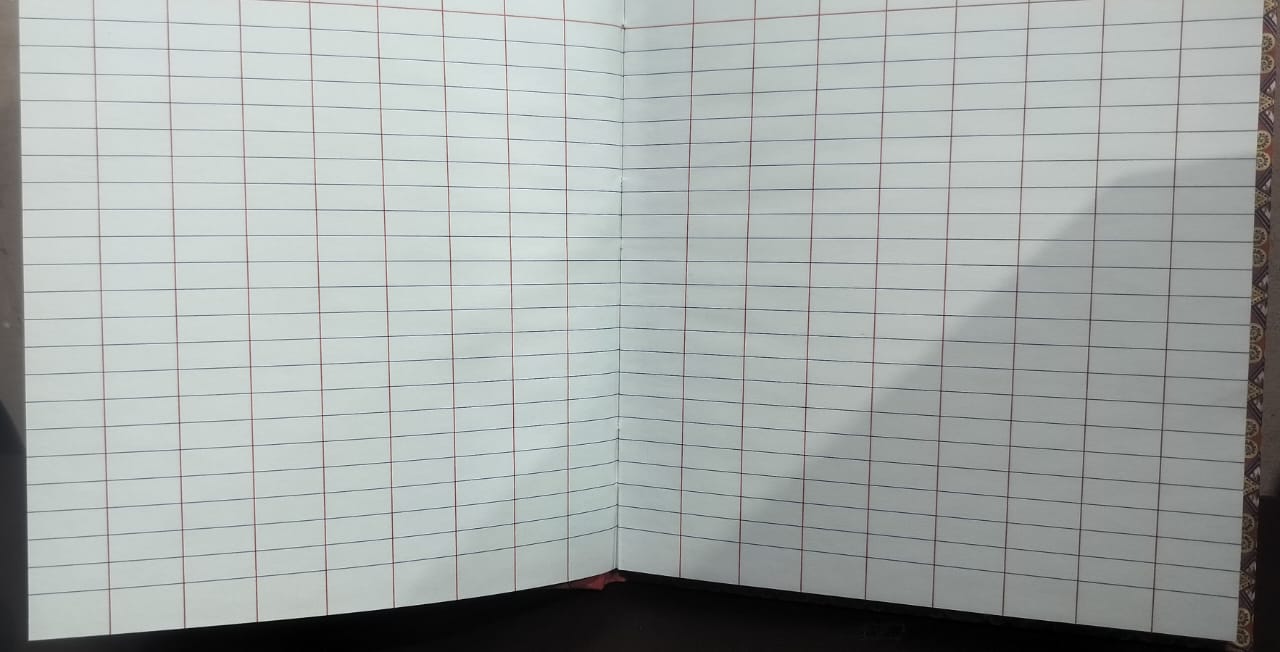 ARTPARK 9 COLUM LETTER SIZE LEDGER PAPER IMI BINDING