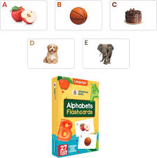 ARTPARK SPARTAN KIDS ALPHABETS 27 FLASH CARD