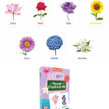 ARTPARK SPARTAN KIDS FLOWERS 27 FLASH CARD