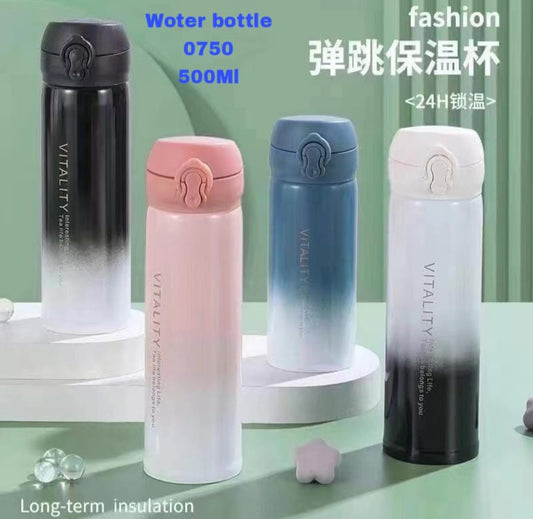 ARTPARK WATER BOTTAL 0750 500ML ( RANDOM COLOR )