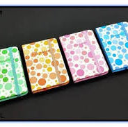 ARTPARK AP JURNOL DIARY- 3781-27L A7 SIZE