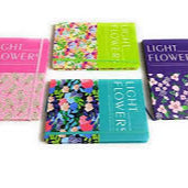 ARTPARK AP JURNOL DIARY- 3783-38L A5 SIZE