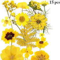 ARTPARK TRANSPERENT PVC FLOWER STICKER DRY NATURAL 3 6PCS