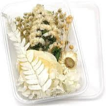 Artpark dried Flower Box white