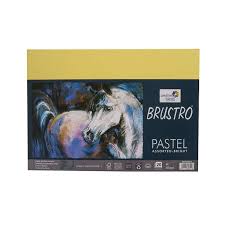 BRUSTRO PASTEL PAPER ASSORTED BRIGHT 160GSM A3