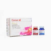 CAMEL ARTIST COLOURED DRAWING INK SET OF 12 20ML