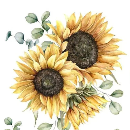 icraft Water Transfer Stickers-MIT 27