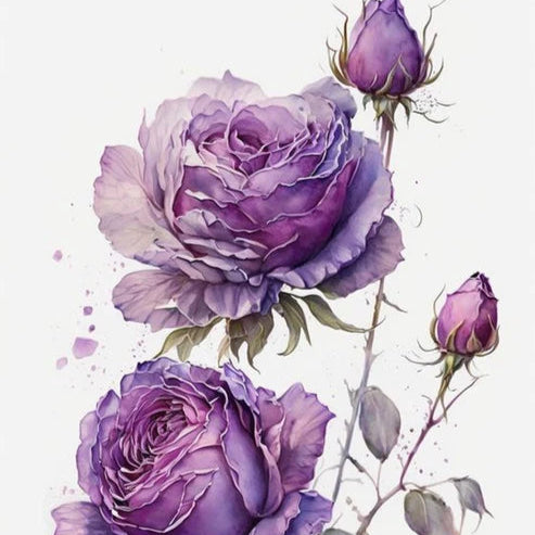 icraft Water Transfer Stickers-MIT 28