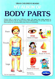 NAVNEET MY ALBUM OF BODY PARTS BOOK