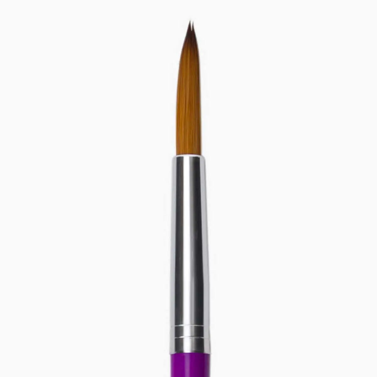 Camel brush round no.10 brown