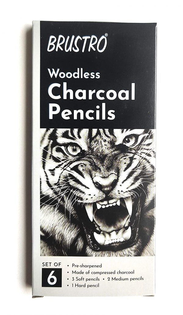 BRUSTRO WOODLESS CHARCOAL PENCILS SET OF 6