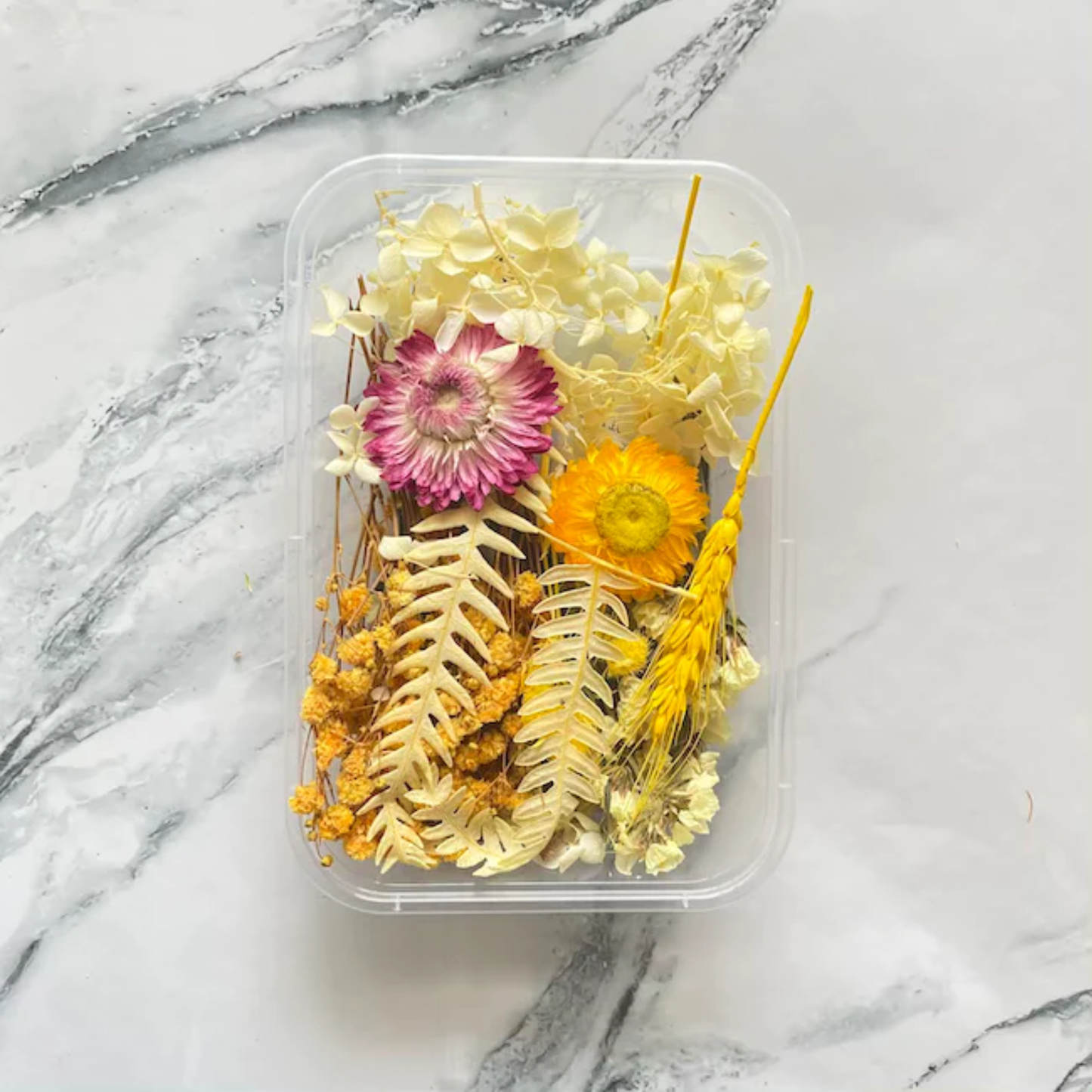 ARTPARK DRY FLOWER BOX 2022