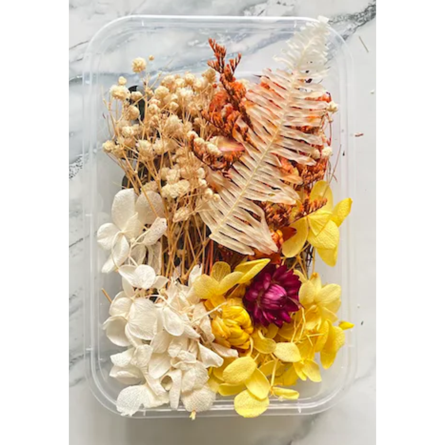 ARTPARK DRY FLOWER BOX 2022