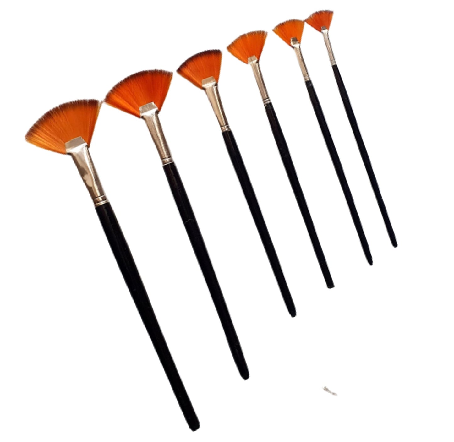 Artpark Fan Brush Set of 6