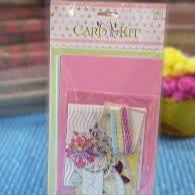 ARTPARK AP MINI CARD KIT