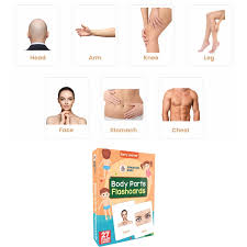 AP SPARTAN KIDS BODY PARTS 27 FLASH CARD