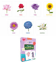 AP SPARTAN KIDS FLOWERS 27 FLASH CARD