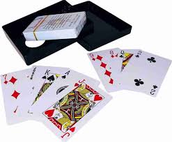 ARTPARK PLASTIC PLAYING CARD PACK OF 2