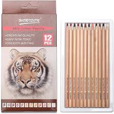 ARTPARK SKIN COLOR PENCL 12pcs