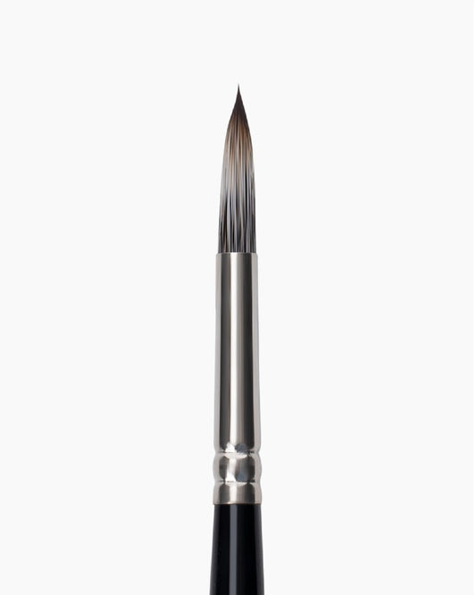 Camel brush round no.12 brown