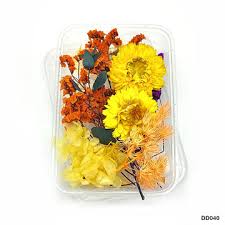 Artpark dried Flower Box Golden Yellow