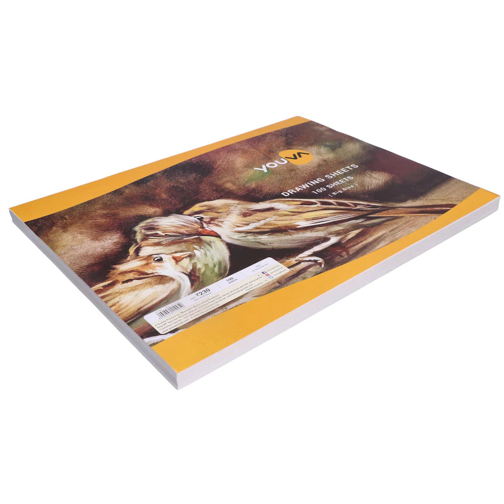 NAVNEET DRAWING PAPER SHEET BIG PACK OF 100