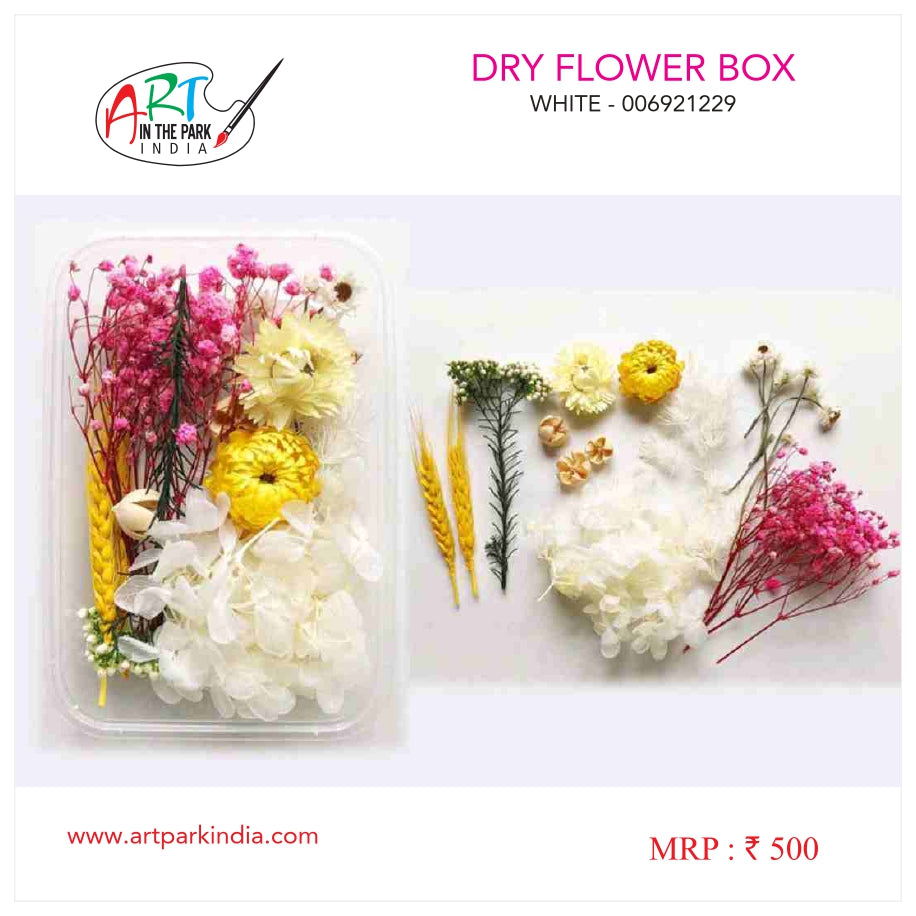 Artpark dried Flower Box white