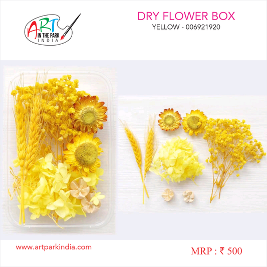 Artpark dried Flower Box Golden Yellow